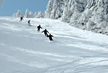 神农架旅游滑雪场天气